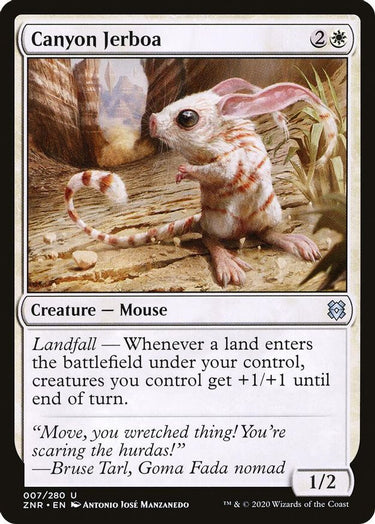 Canyon Jerboa | 7